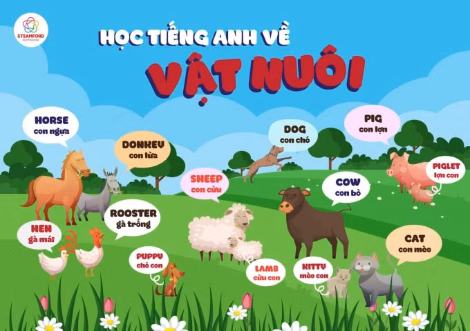 Sự kiện sẽ có cả phần giảng dạy ngoại ngữ (Ảnh: BTC)