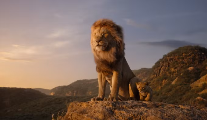 lion3