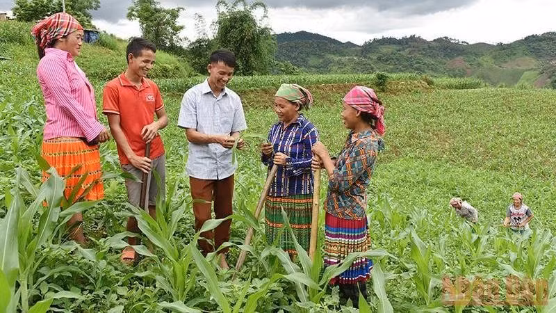 khang dinh vai tro cua dao tao nghe tao viec lam trong giam ngheo ben vung hinh 2