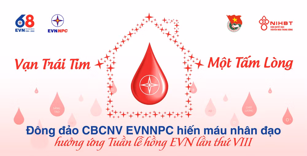dong dao cbcnv evnnpc hien mau nhan dao huong ung tuan le hong evn lan thu viii hinh 1