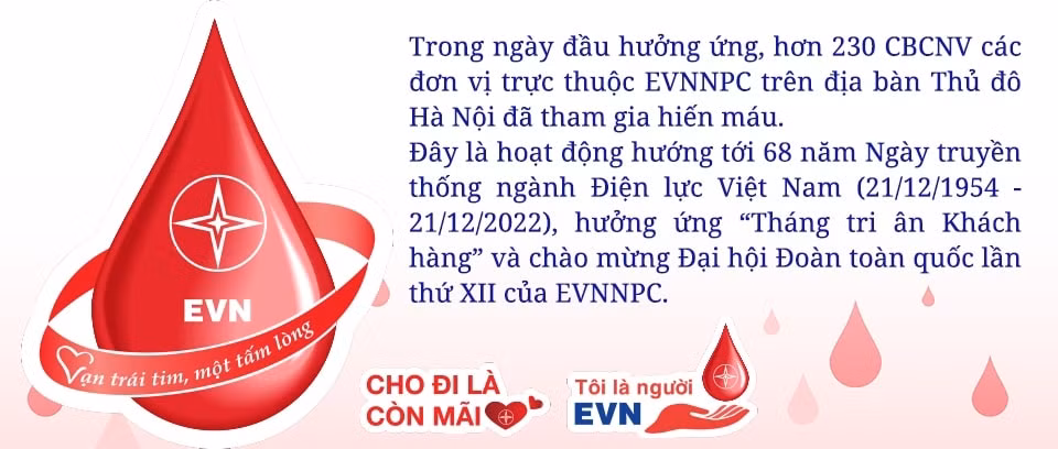 dong dao cbcnv evnnpc hien mau nhan dao huong ung tuan le hong evn lan thu viii hinh 2