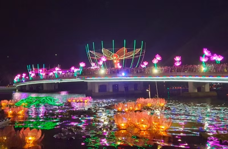 100 hoa dang co lon se gop mat trong hoi thi hoa dang ninh kieu can tho hinh 1