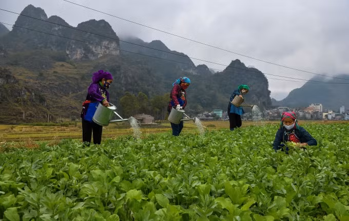 Tăng gia sản xuất, phòng dịch hiệu quả đó là mục đích kép.