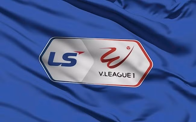 Giải V.League dự kiến sẽ trở lại từ giữa tháng 3 tới. Ảnh: internet