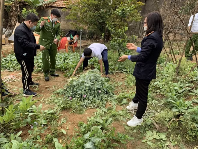 Lực lượng chức năng tiến hành thu giữ tang vật.