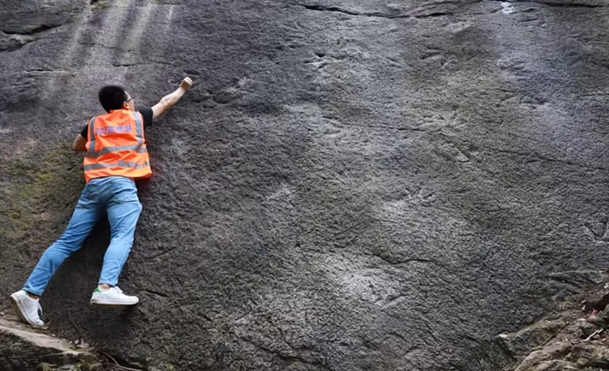 Phát hiện 46 dấu chân khủng long 190 triệu năm tuổi ở Công viên quốc gia Geleshan