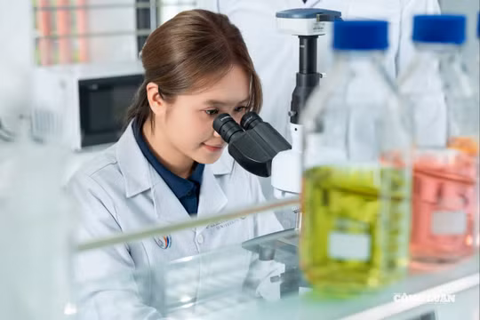 Lựa chọn nghề nghiệp không thể tách rời bối cảnh phát triển kinh tế - xã hội.