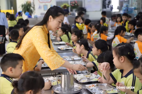 Dự kiến miễn thuế đối với doanh nghiệp cung cấp suất ăn cho trường học, bệnh viện