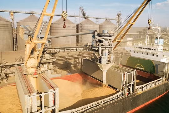 Nga bác đề xuất ngừng bắn trên Biển Đen