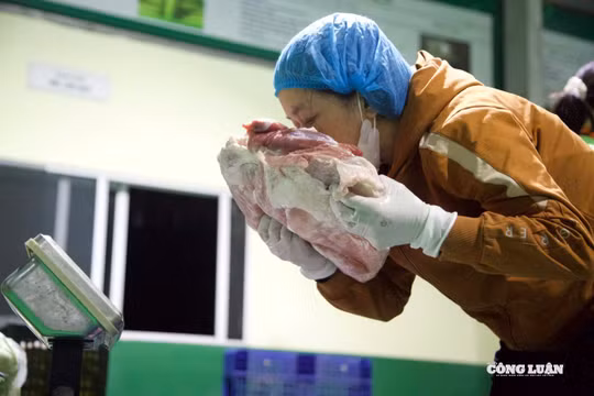 Với thực phẩm tươi sống như thịt, cá, việc kiểm tra cảm quan (màu sắc, mùi, độ đàn hồi) được thực hiện kỹ lưỡng.