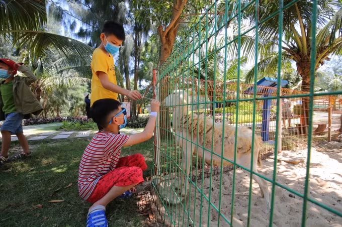 Các bạn nhỏ thoả thích khám phá thiên nhiên và làm quen với các loài động vật tại FLC Zoo Safari Park thuộc FLC Quy Nhơn (Ảnh: FLC Zoo Safari Park)