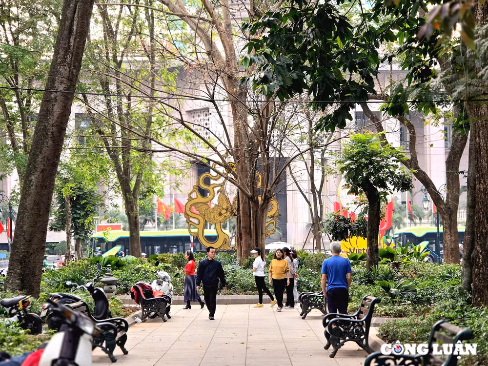 can canh vuon hoa ly thai to sap duoc cai tao hinh 8