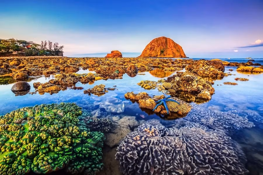 phu yen tung loat san pham kich cau du lich he 2025 hinh 1