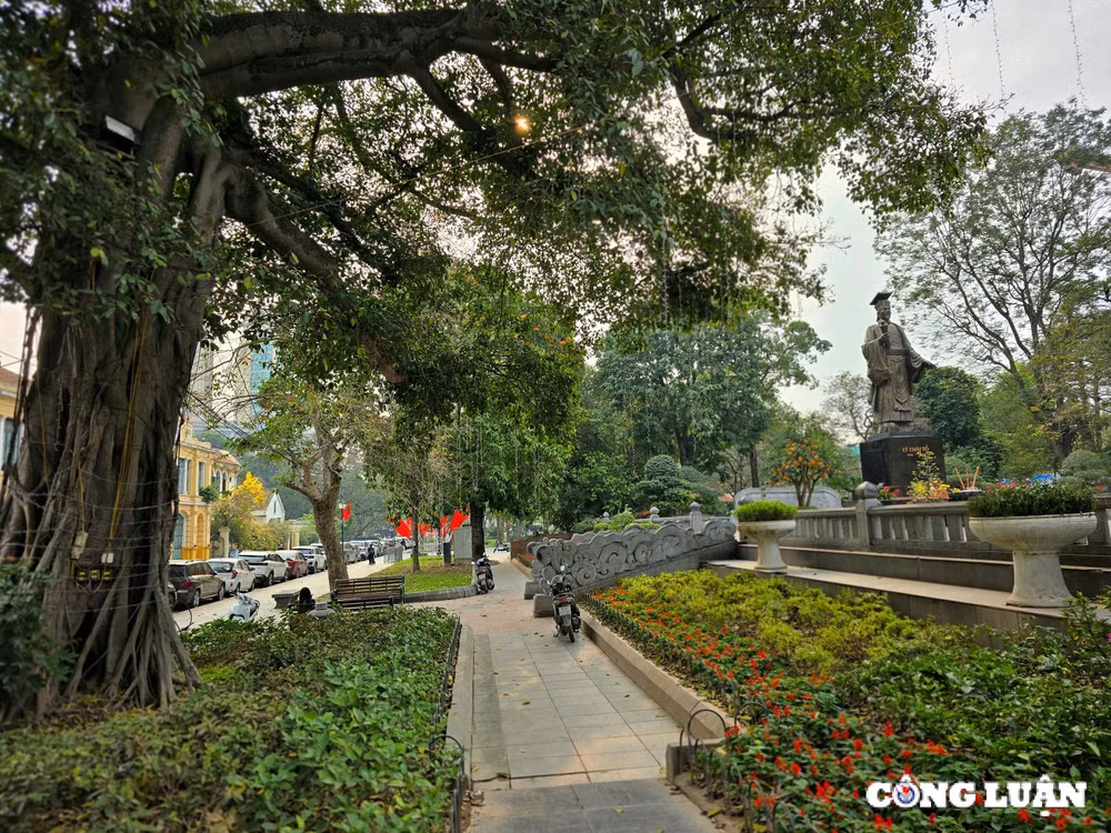 can canh vuon hoa ly thai to sap duoc cai tao hinh 7