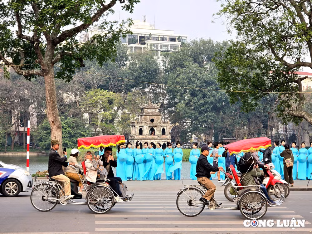 can canh vuon hoa ly thai to sap duoc cai tao hinh 5