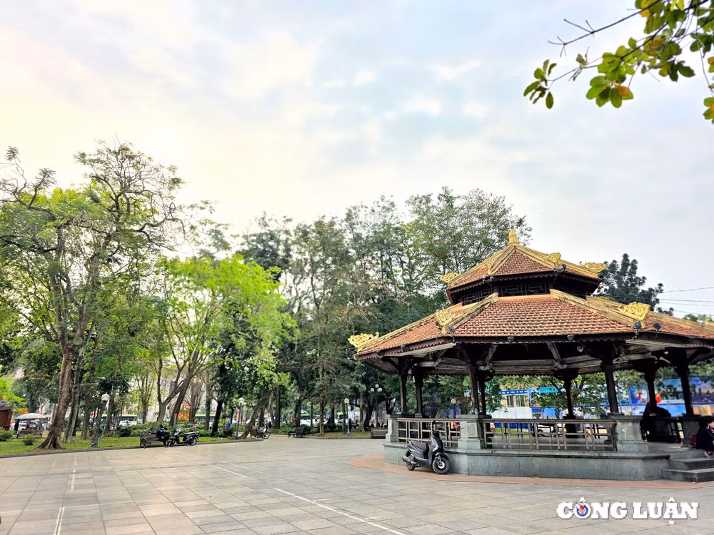 can canh vuon hoa ly thai to sap duoc cai tao hinh 11