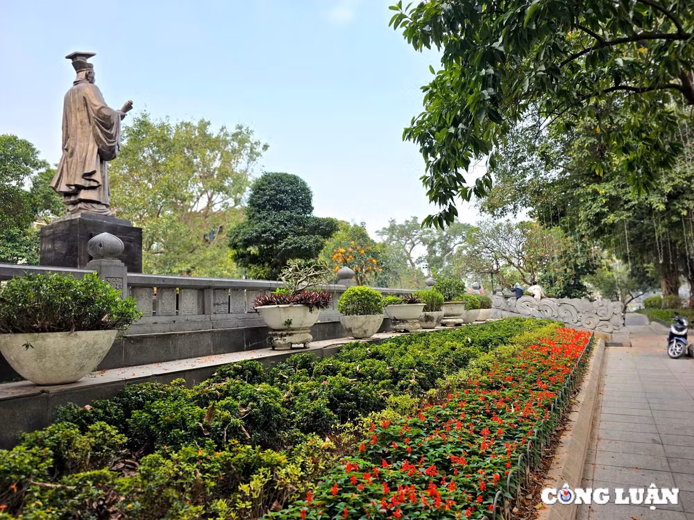 can canh vuon hoa ly thai to sap duoc cai tao hinh 12