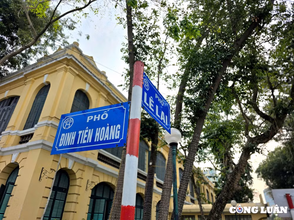 can canh vuon hoa ly thai to sap duoc cai tao hinh 2