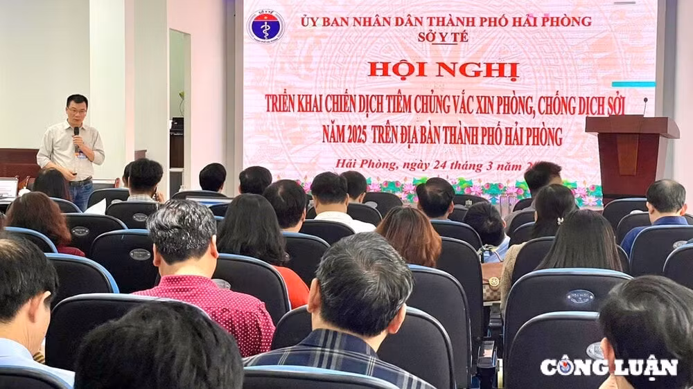 hai phong chua ghi nhan o dich soi hinh 2