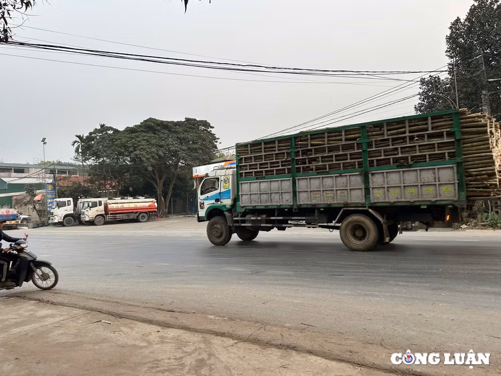 xe co dau hieu qua kho qua tai tung hoanh tai nghe an hinh 3