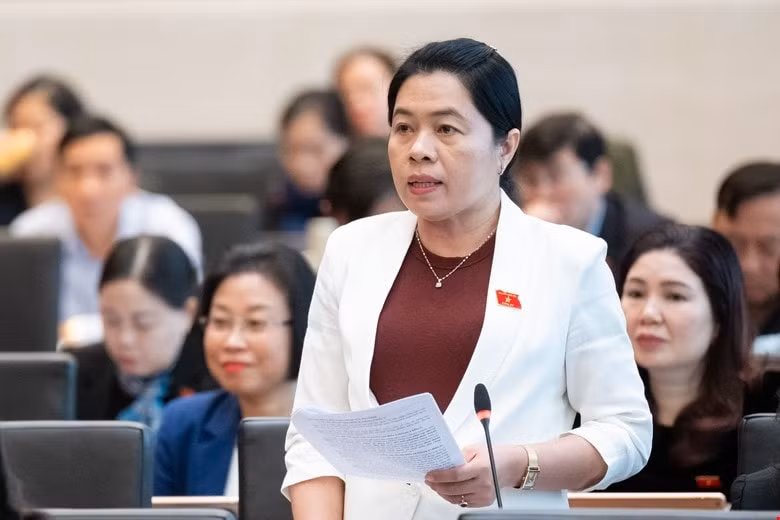 dai bieu quoc hoi de nghi bo sung danh muc san pham gay mat an toan vao trong luat hinh 2