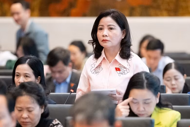 dai bieu quoc hoi de nghi bo sung danh muc san pham gay mat an toan vao trong luat hinh 1