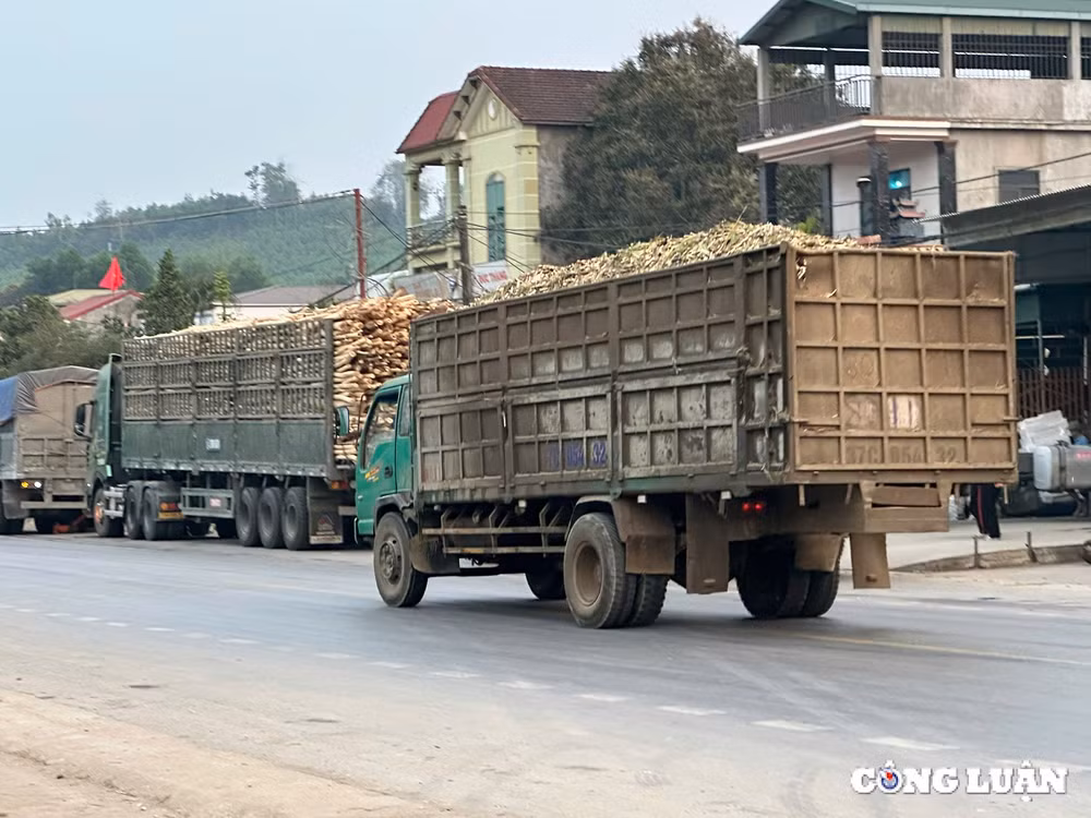 xe co dau hieu qua kho qua tai tung hoanh tai nghe an hinh 2