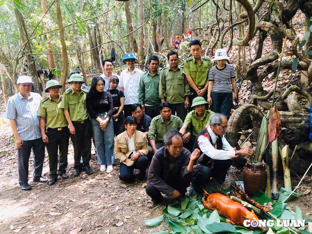 gia lai nghi le cung ta on than rung cua nguoi jrai cung chung tay bao ve rung hinh 1