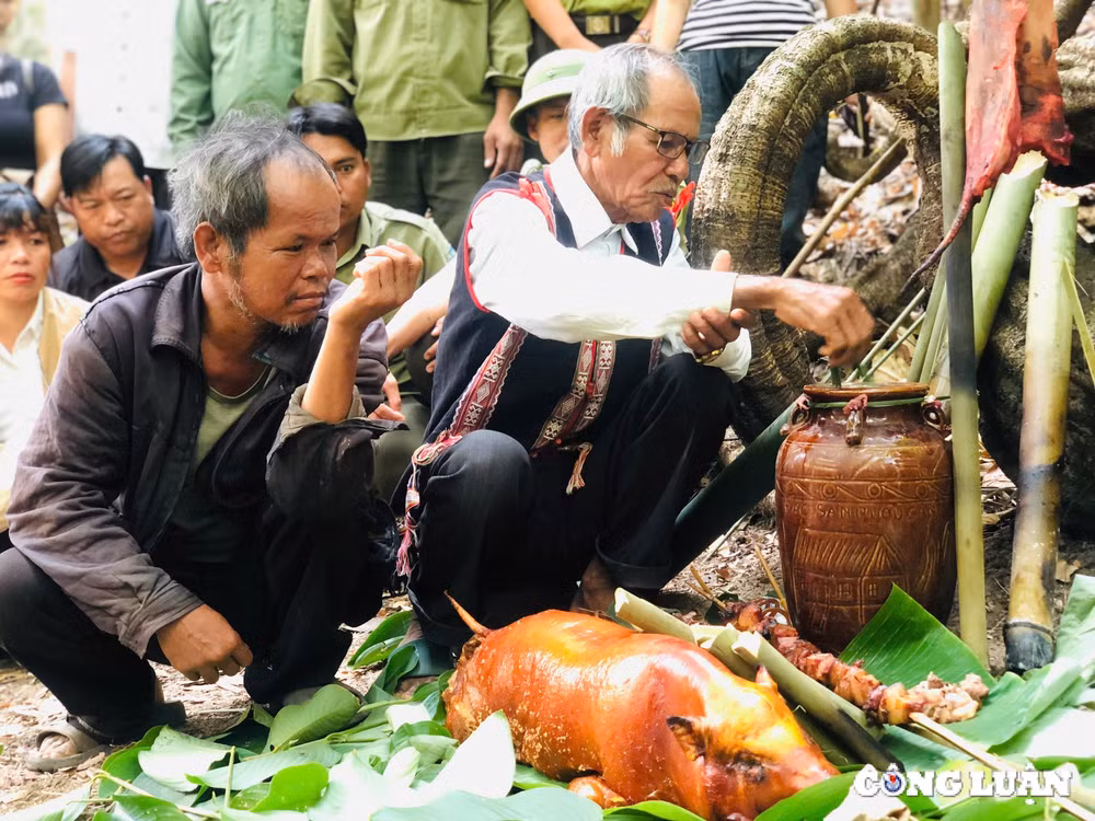gia lai nghi le cung ta on than rung cua nguoi jrai cung chung tay bao ve rung hinh 4
