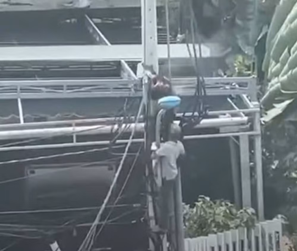 cot dien phat no nguoi dan ong bi bong nang toan than phai nhap vien hinh 1