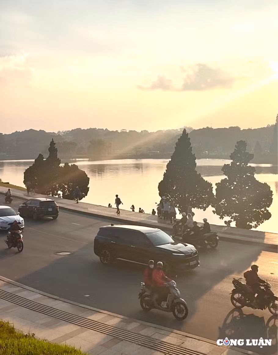 doc suong nguyet anh goc dai ly chua ngung ha nhiet giua long da lat hinh 3