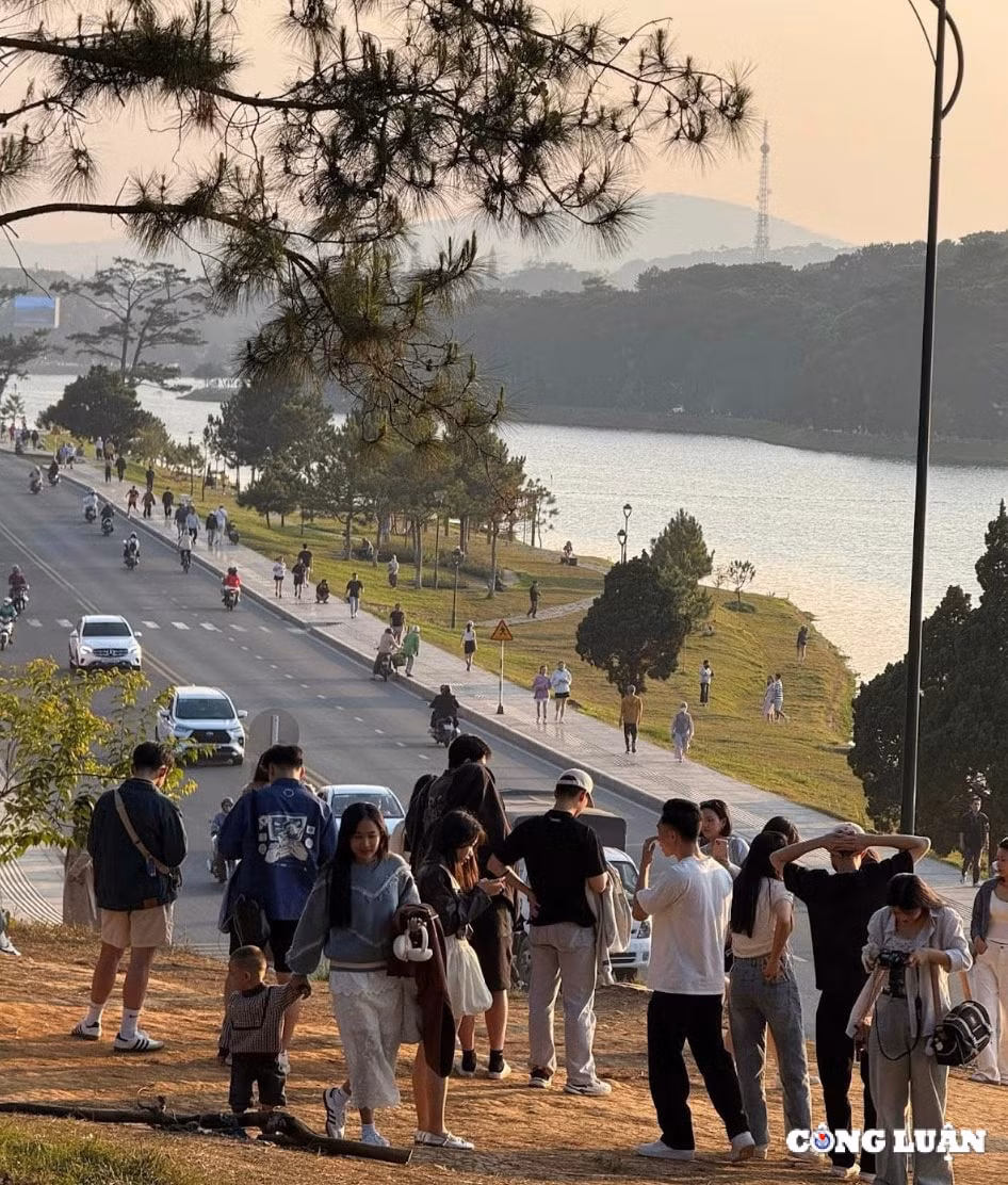 doc suong nguyet anh goc dai ly chua ngung ha nhiet giua long da lat hinh 2