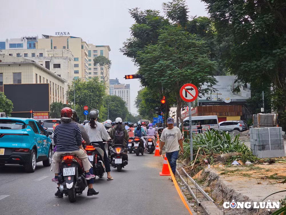 loat cay xanh chuc nam tuoi o trung tam tp hcm bi don ha vi sao hinh 3
