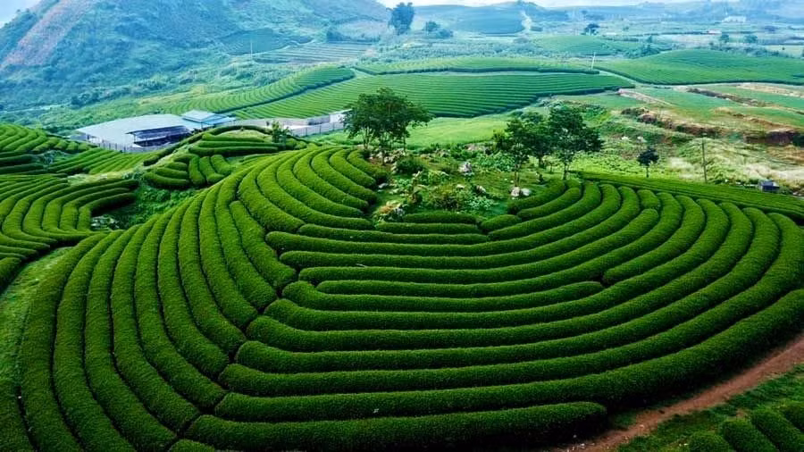5 diem den hap dan quanh ha noi cho ky nghi ngan ngay dip gio to hung vuong 2025 hinh 3