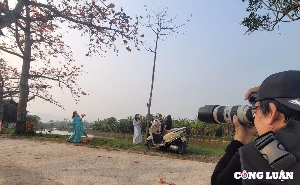 nguoi dan do xo check in tren con duong hoa gao tuyet dep ngoai thanh ha noi hinh 12