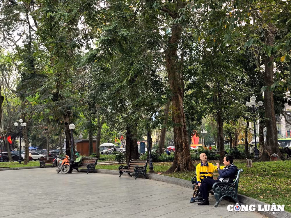 ha noi vuon hoa ly thai to se co 114 cay bong mat sau cai tao hinh 2