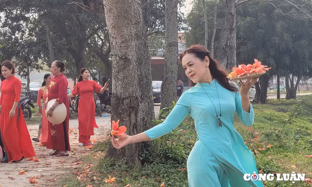 nguoi dan do xo check in tren con duong hoa gao tuyet dep ngoai thanh ha noi hinh 7
