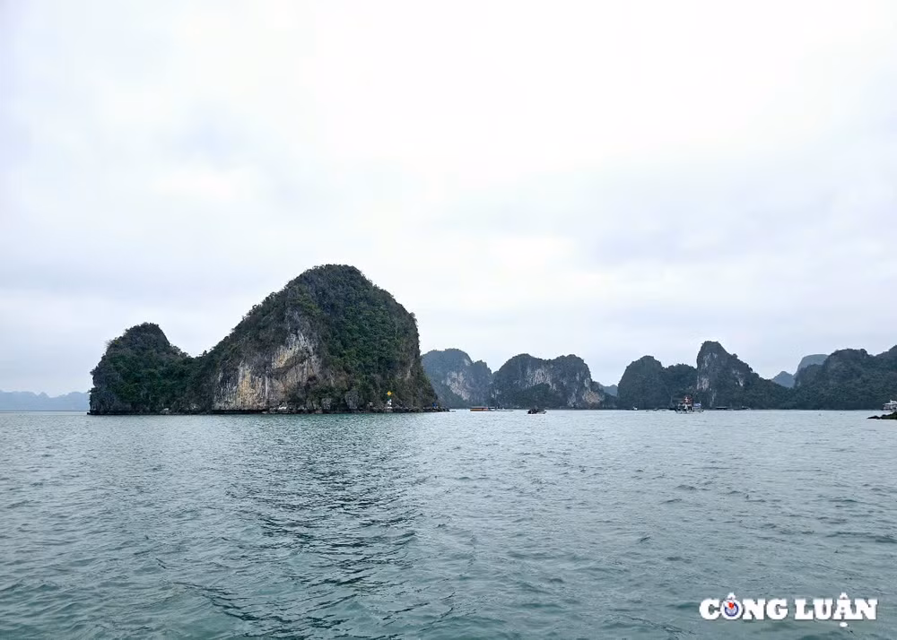 quang ninh chinh thuc khai truong 7 hanh trinh tham quan du lich vinh bai tu long hinh 6