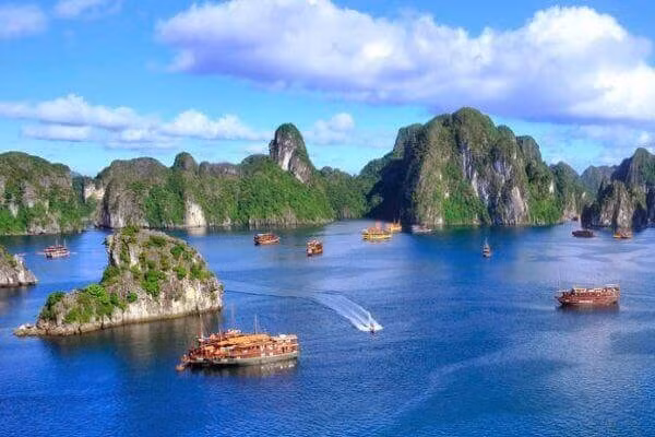 quang ninh dua tour tham quan vinh bai tu long vao hoat dong hinh 1