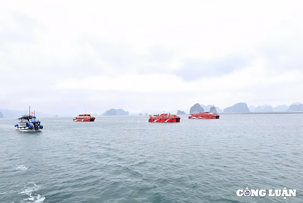 quang ninh chinh thuc khai truong 7 hanh trinh tham quan du lich vinh bai tu long hinh 9