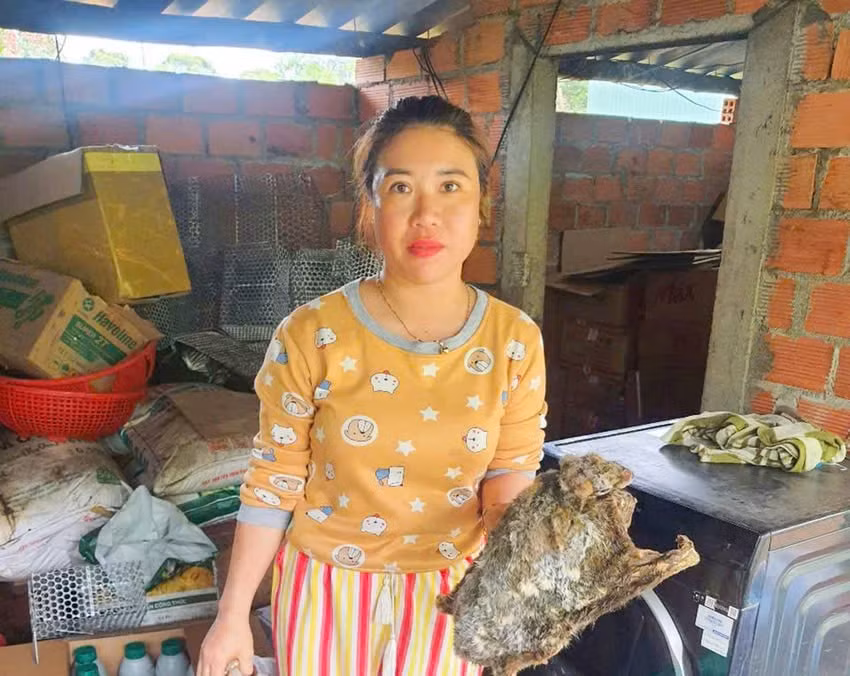 gia lai khoi to nguoi phu nu tang tru ran ho chua va chon bay tai nha hinh 1