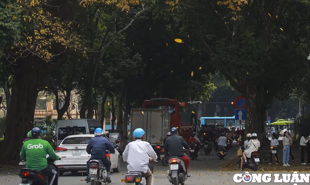 ha noi thi diem dieu chinh giao thong tren pho hoang hoa tham ngoc ha hinh 1
