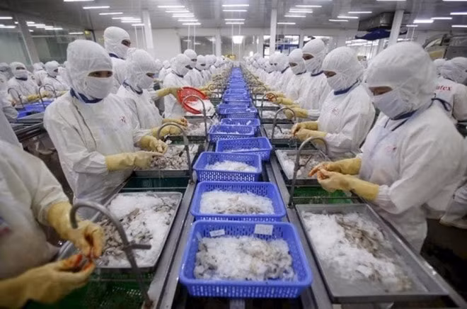 Các doanh nghiệp cần lên kế hoạch xuất khẩu hàng hóa một cách kỹ lưỡng, nghiên cứu cẩn thận thị trường cũng như các phương thức, thủ tục xuất khẩu. (Ảnh minh họa)