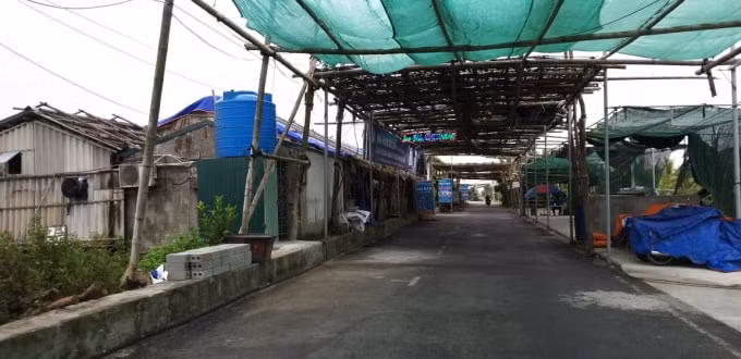 Một loạt nhà hàng được xây dựng lấn chiếm hành lang ven đê mà UBND huyện Tiền Hải không thể xử lý