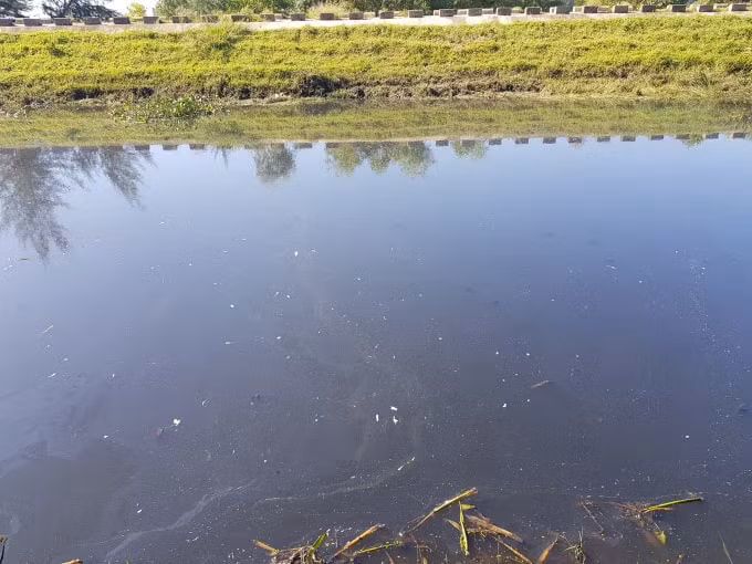 Dòng nước kênh có màu đen và mùi hôi thối