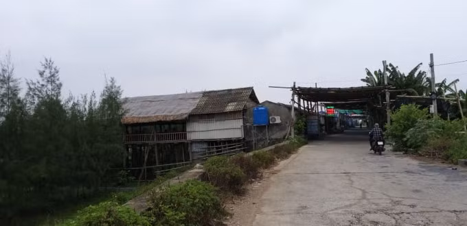 Các nhà hàng băm nát hành lang đê biển