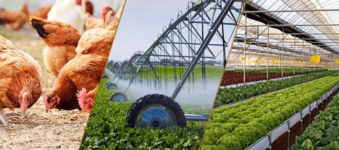 Để phát triển ngành công nghiệp chế biến thực phẩm bền vững cần có sự đầu tư bài bản vào sản xuất nông nghiệp. (Ảnh minh họa)