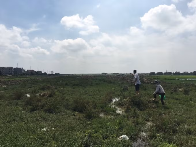 Người dân bức xúc bởi đồng Dỏng không nằm trong diện bị thu hồi đất nhưng vẫn bị UBND huyện Yên Phong cưỡng chế.