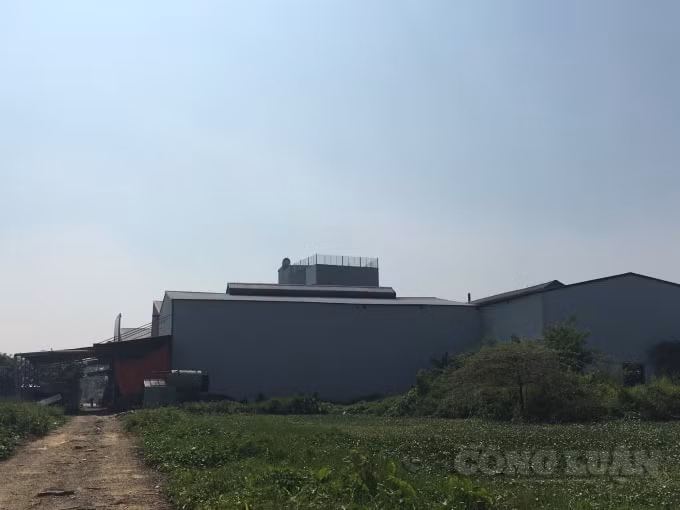 Nhà xưởng quy mô hàng trăm mét vuông tại khu vực đồng Bùi, xã Hữu Bằng.
