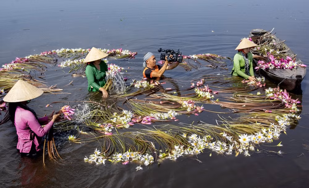 Tác phẩm: Bông súng mùa nước nổi. Tác giả: Bá Phúc (Đạo diễn, Đài PT-TH An Giang). Ảnh có độ nét cao, màu sắc đẹp, hài hòa, mang tính nghệ thuật trong cách thể hiện để phản ánh nội dung muốn chuyển tải tới người xem.